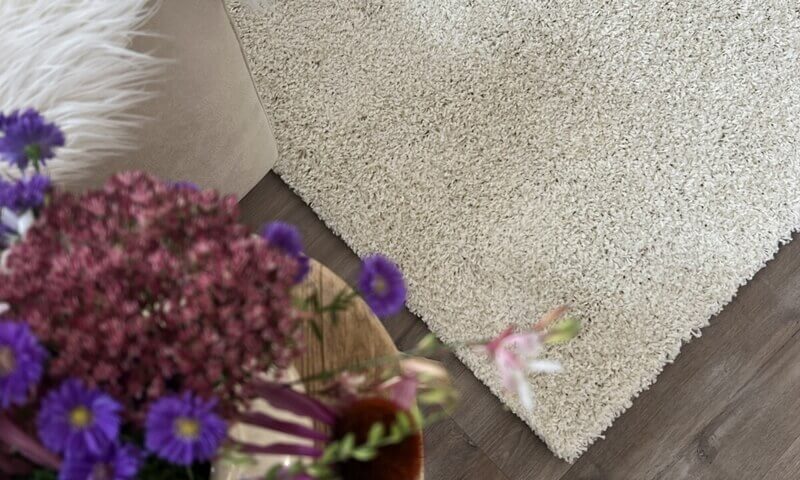 Kusový koberec Life Shaggy 1500 cream